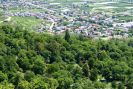 La châtaigneraie