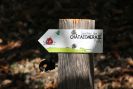 Sentier didactique de la Châtaigneraie