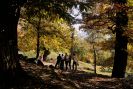 Visite guidée de la Châtaigneraie par Madeleine Raffara